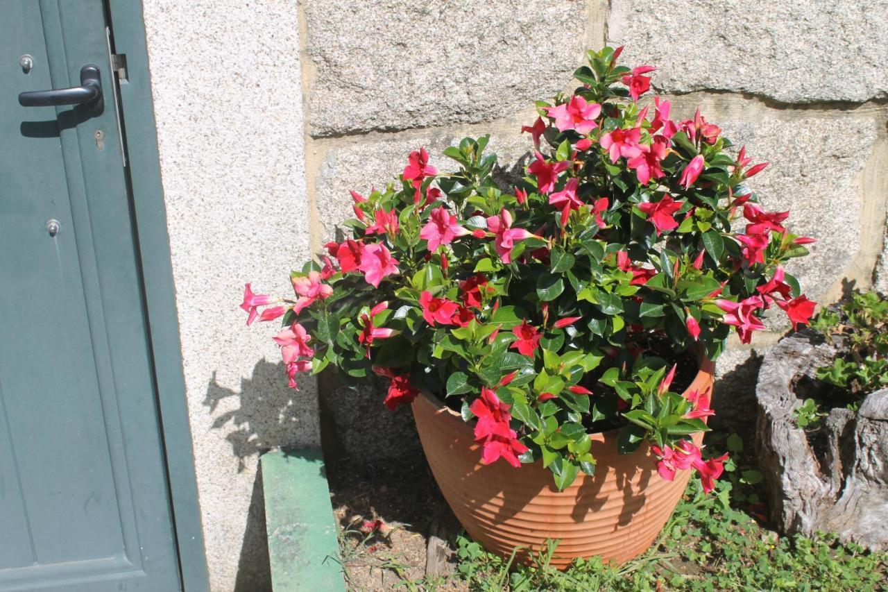 Precioso Piso En Playa America Con Jardin Privado. Nigran Exterior photo